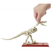 Mattel Jurský svět Dino kostry Velociraptor 5
