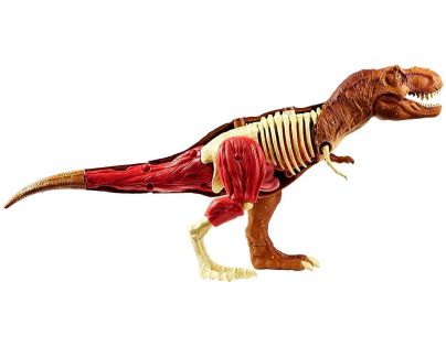 Mattel Jurský svět herní set anatomie
