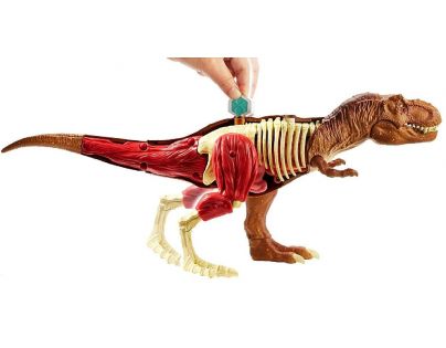 Mattel Jurský svět herní set anatomie