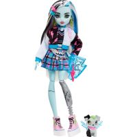 Mattel Monster High panenka Monsterka Frankie Stein™ - Poškozený obal