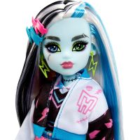 Mattel Monster High panenka Monsterka Frankie Stein™ - Poškozený obal 5