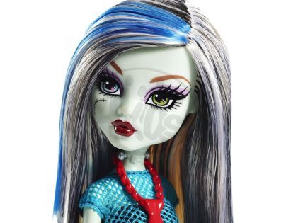 Mattel Monster High Příšerka DKY17 - Frankie Stein