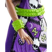 Mattel Monster High příšerka Clawdeen Wolf DWR89 3