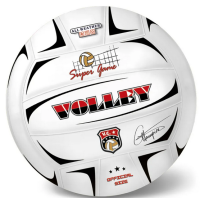 Míč volejbalový Champions 21 cm