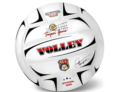 Míč volejbalový Champions 21 cm