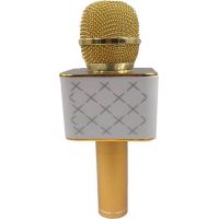 Mikrofon karaoke kov 25 cm nabíjení přes USB zlatý 4