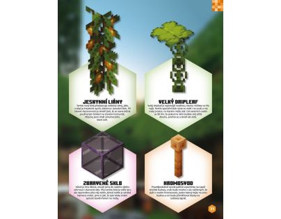 Egmont Minecraft Knížka na celý rok