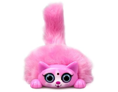 MINI PURRS ASSORTMENT