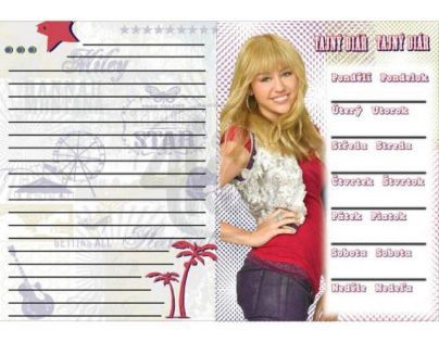 Můj tajný polštář Hannah Montana