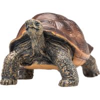 Mojo Želva obrovská figurka 2