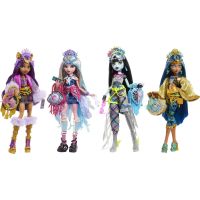 Monster High Monster Fest panenka Clawdeen 5