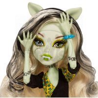 Monster High Monstrozní splynutí Kříženecký styl - Frankie Stein 3