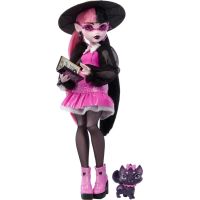 Monster High příšerka monsterka Draculaura - Poškozený obal 3