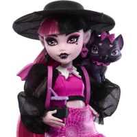 Monster High příšerka monsterka Draculaura - Poškozený obal 4