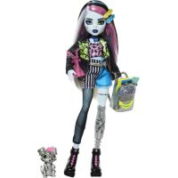 Monster High příšerka monsterka Frankie - Poškozený obal