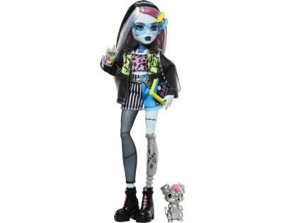 Monster High příšerka monsterka Frankie - Poškozený obal