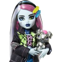 Monster High příšerka monsterka Frankie - Poškozený obal 4