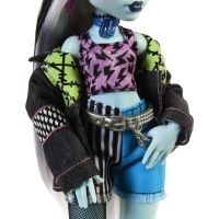 Monster High příšerka monsterka Frankie - Poškozený obal 5