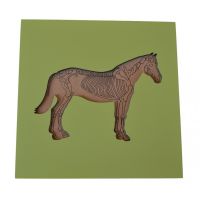 Montessori Puzzle vkládací S kostrou koně 6 dílků 3