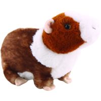 Morče 22 cm