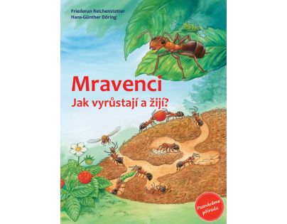 Mravenci - Poškozený obal 