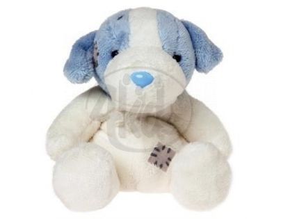 My blue nose friends – Jack Russel