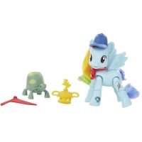 My Little Pony Poník s kamarádem a doplňky - Rainbow Dash 2