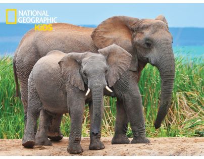 National Geographic Kids 3D Puzzle Slon 100 dílků figurka