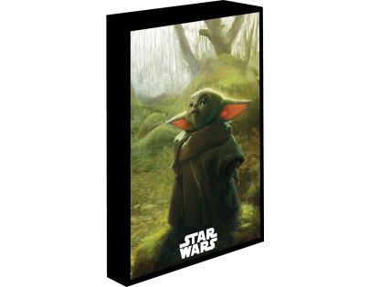 Pyramid International Star Wars Obraz LED svítící 30x40 cm
