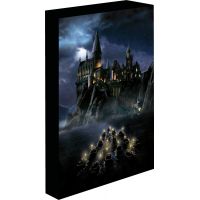 Epee Merch Obraz LED svítící Harry Potter Bradavice