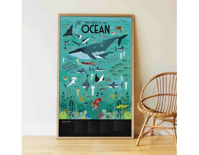 Poppik Samolepkový plakát vzdělávací Oceán