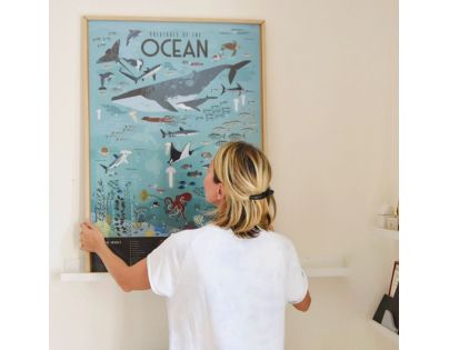 Poppik Samolepkový plakát vzdělávací Oceán