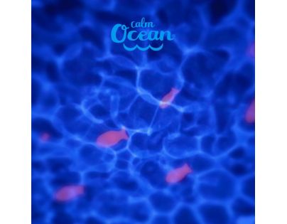 Pabobo Musical Star projektor Calm Ocean