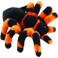Pavouk tarantule 18 cm