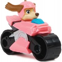 Spin Master Tlapková patrola ve velkofilmu Multibalení mini autíček 7 ks 4