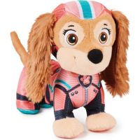 Paw Patrol film 2 Plyšák Liberty s kamarádem 2