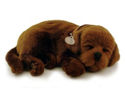 PERFECT PETZZz štěňátko Labrador