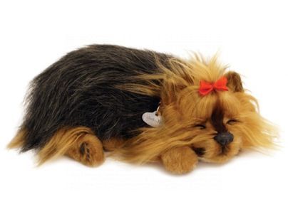 PERFECT PETZZz štěňátko Yorki