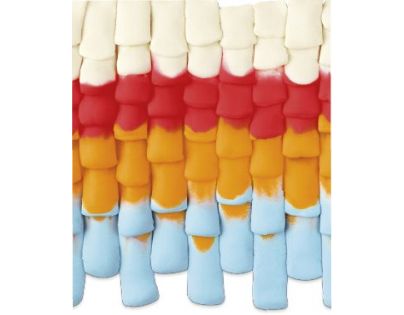 Play-Doh Animals Kvokající slepička