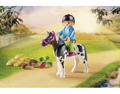 PLAYMOBIL® 70998 Kočár s poníkem