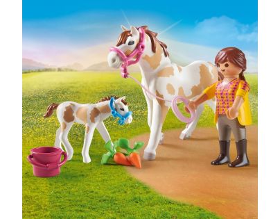 PLAYMOBIL® 71243 Kůň s hříbětem