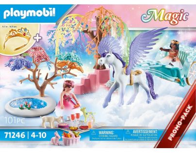 PLAYMOBIL® 71246 Piknik s Pegasovým kočárem