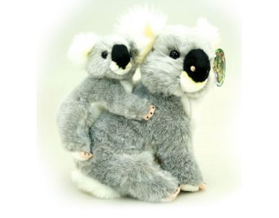 Plyšová Koala 25 cm