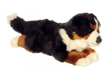 Plyšový pes Bernský Salašnický 35 cm