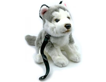 Plyš Husky s vodítkem 24 cm