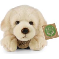 Rappa Plyšový pes labrador 20 cm Eco Friendly 2