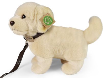 Rappa Plyšový pes zlatý retrívr stojící s vodítkem 25 cm Eco Friendly