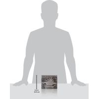 Pokémon TCG: ME05 Pitch Black - Elite Trainer Box 2