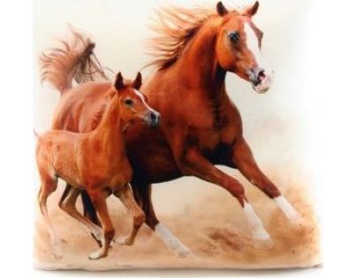 Polštářek koně 33 x 33 cm