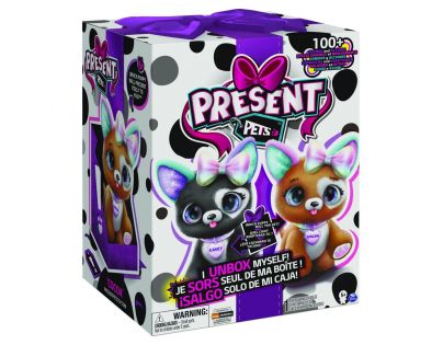 Present Pets Interaktivní koťátko klasik